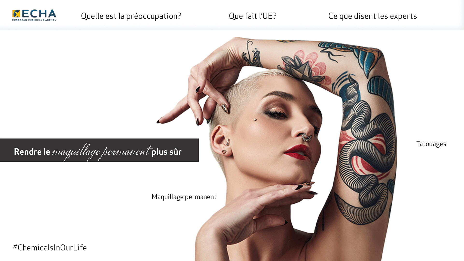 Infographie sur les tatouages