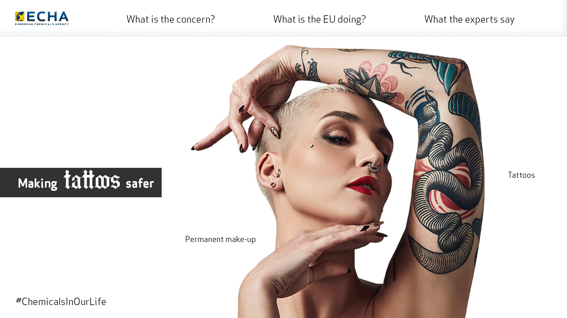 Tattoo inks and permanent make-up - ECHA